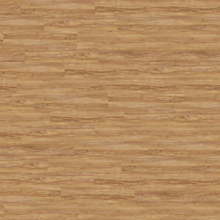 wineo 800 wood - Designboden - Honey Warm Maple - Klickvinyl