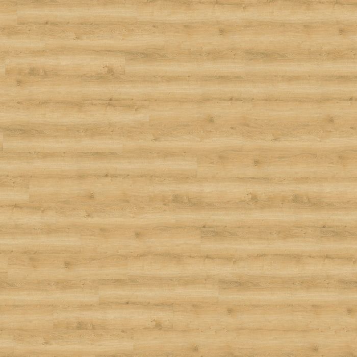 wineo 800 wood - Designboden - Wheat Golden Oak - Klickvinyl