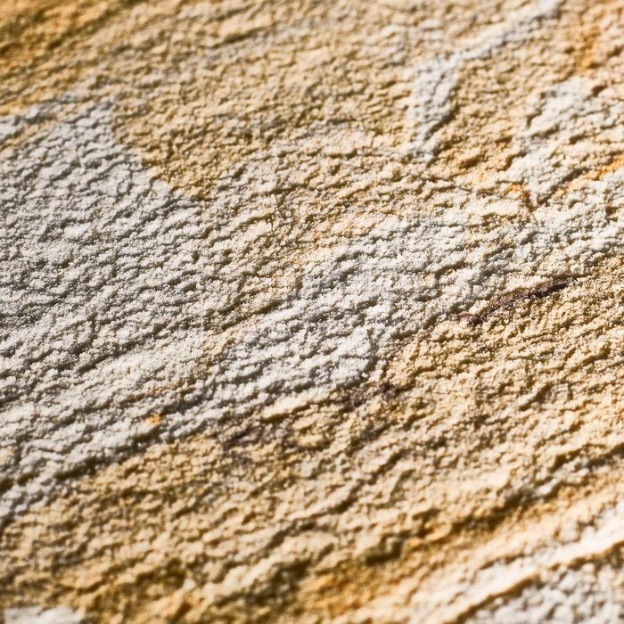Sandsteintapete Fliesen Platten SA212