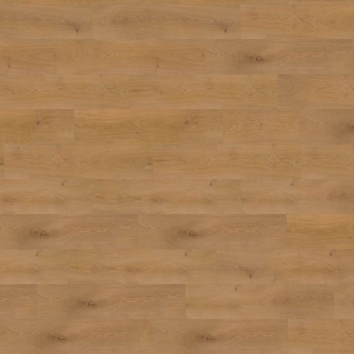 wineo 1000 wood XL - Noble Oak Toffee - Bioboden - Klicksystem